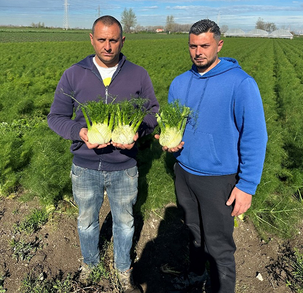 Azienda Agricola Iazzetta Angelo